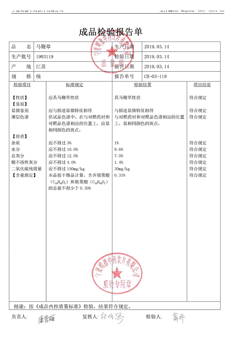 1903119馬鞭草.jpg